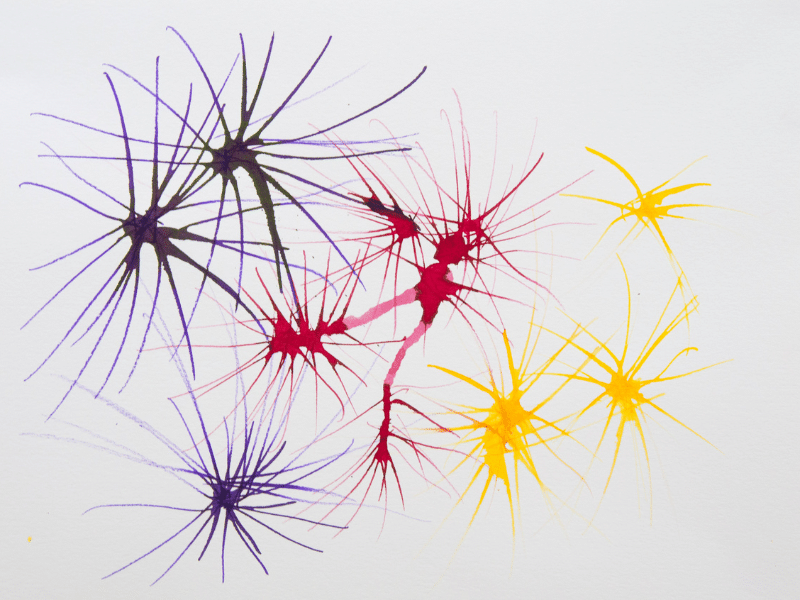 Comment faire de la peinture soufflée avec des pailles - img