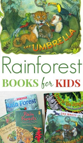 Livres pour enfants sur la forêt tropicale - img